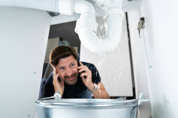 Best Local Plumber Services  in Sturgis, SD